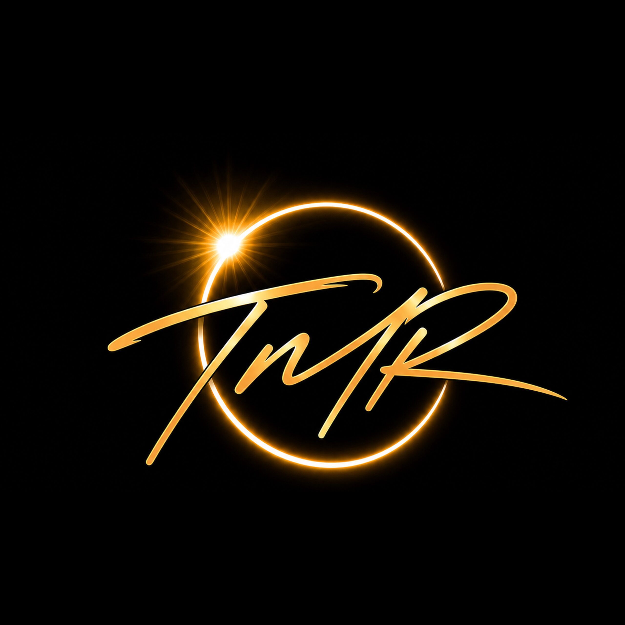 Tint My Ride LLC logo